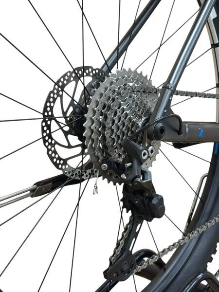 Bulls E-Stream EVO 1 (2021) | Diamant | grau/anodized blue | 29" | 56 cm | > 3000 km | 750 Wh 3