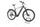 Bulls Iconic EVO 1 2022 | grau | 29" | 54 cm | 500 - 3000 km, thumbnail 1 of 4