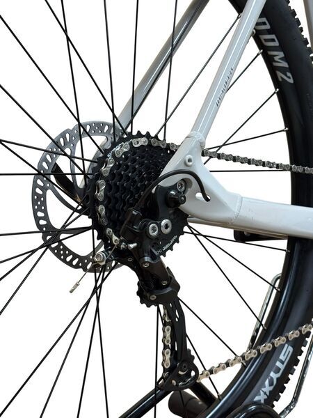 Bulls LT EVO CX 750 2023 | grey | 29" | 60 cm | <500 km 4