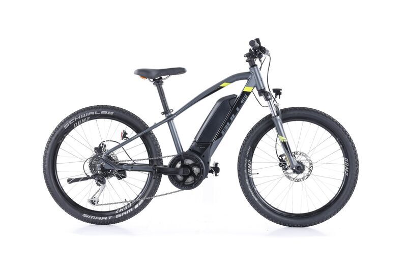 Bulls Twenty 4 E (2022) | Diamant | grau | 24" | 32 cm | 1000 - 1500 km 1