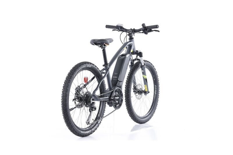 Bulls Twenty 4 E (2022) | Diamant | grau | 24" | 32 cm | 1000 - 1500 km 2