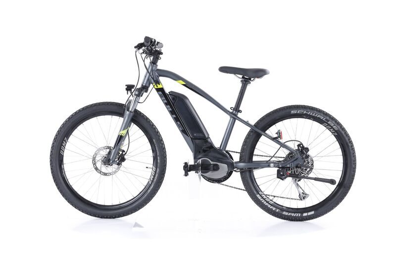 Bulls Twenty 4 E (2022) | Diamant | grau | 24" | 32 cm | 1000 - 1500 km 4