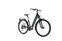 Cannondale Adventure Neo 1 EQ (2022) | Tiefeinsteiger | grün | 38 cm | 100 - 500 km thumbnail 1/4