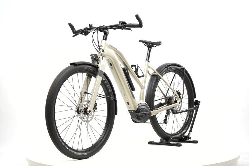 Cannondale Canvas Neo 2 (2022) | Diamant | champagne | 29" | 49 cm | 500 - 1000 km 3