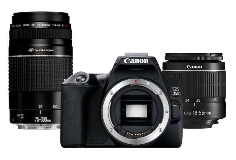 canon eos 250d купить минск