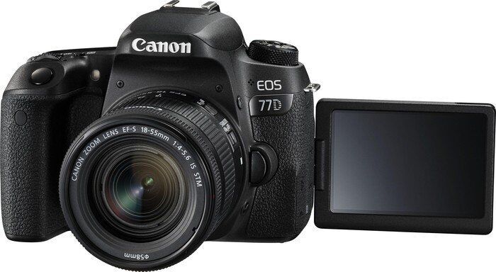 Canon EOS 77D | EF-S 18-55mm 4.0-5.6 IS STM 3