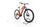 Carver Strict E.440 2022 | red | 29" | 38 cm | 500 - 3000 km, thumbnail 2 of 4