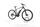Carver Strict E LTD 2021 | nero | 29" | 50 cm | 500 - 3000 km, thumbnail 2 of 5