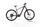 Centurion Backfire E R860i 2020 | black | 29" | 45 cm | 500 - 3000 km, thumbnail 1 of 5