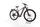 Centurion Backfire E R860i 2022 | black | 29" | 40 cm | < 500 km, thumbnail 1 of 4