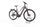 Centurion E-Fire Tour R860i 2022 | grey | 29" | 53 cm | 500 - 3000 km, thumbnail 1 of 4