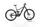 Centurion No Pogo F3600i 2021 | black | 29" | 42 cm | 500 - 3000 km, thumbnail 1 of 5