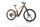 Centurion Numinis R2700i EP2 2024 | castanho | 29" | L | 500 - 3000 km, thumbnail 2 of 5