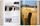 Christo and Jeanne-Claude. 40th Anniversary Edition | Weiß, thumbnail 2 of 4