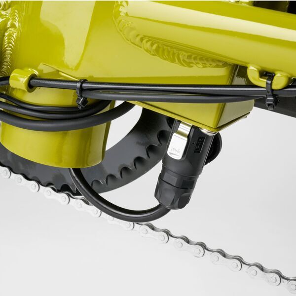 Coast Jifo Light | honey | 20" | 39 cm | < 100 km 3