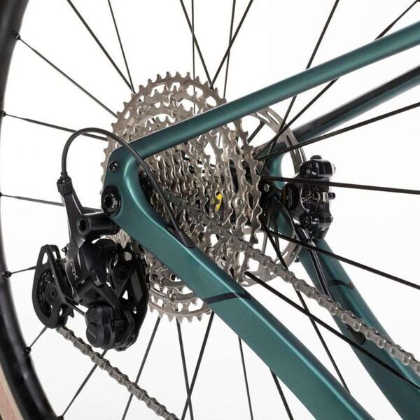 Conor WRC Selva (2024) | Diamond | green | 56 cm | M | < 100 km 3