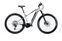 Conway Cairon S 829 (2021) | Diamant | silber | 29" | 49 cm | L | 1000 - 1500 km thumbnail 1/5