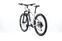 Conway Cairon S 829 (2021) | Diamant | silber | 29" | 49 cm | L | 1000 - 1500 km thumbnail 3/5