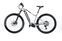 Conway Cairon S 829 (2021) | Diamant | silber | 29" | 49 cm | L | 1000 - 1500 km thumbnail 4/5