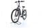 Conway T3 (2022) | Tiefeinsteiger | schwarz | 28" | 50 cm | L | < 100 km thumbnail 5/5