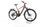 Corratec E-Power MTC 120 2025 | brązowy | 29" | M | > 3000 km, thumbnail 1 of 4