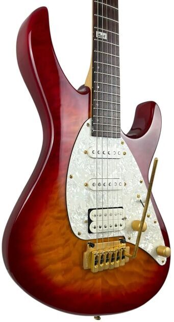 Cort S2800 2009