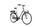 Cortina E-Common (2021) | Tiefeinsteiger | grün | 57 cm | 100 - 500 km thumbnail 1/4
