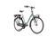 Cortina E-Common (2021) | Low Entry | green | 57 cm | 100 - 500 km thumbnail 1/4