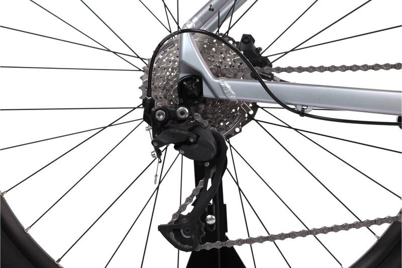 Cube Access WS Pro (2023) | Diamant | silber | 29" | L 5