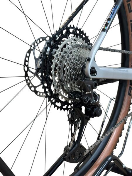 Cube Elite C:62 Pro 2024 | silver | 29" | L 4