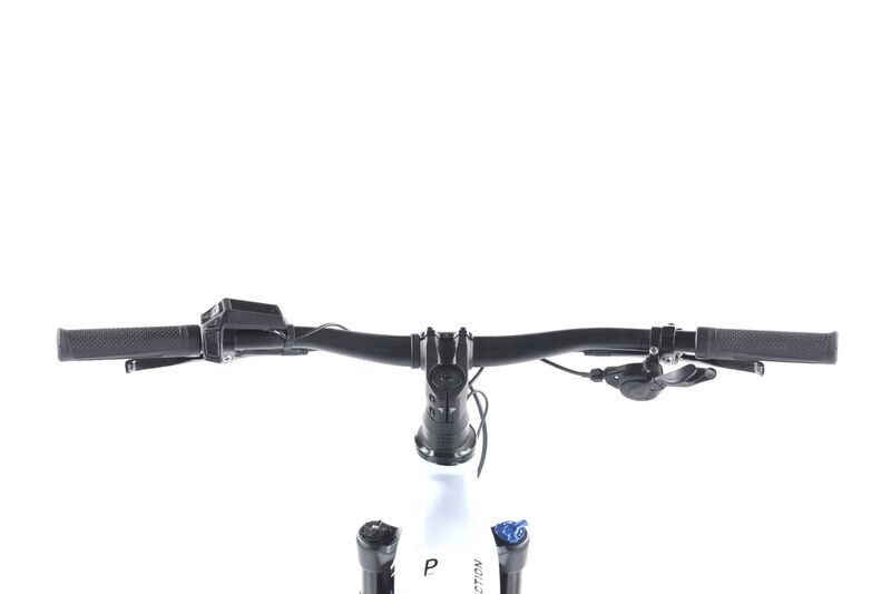 Cube Reaction Hybrid Pro Allroad (2023) | Diamond | white | 29" | L | 500 - 1000 km | 625 Wh 3
