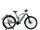 Cube Stereo Hybrid 120 Race Allroad 2024 | grey | 29" | M | > 3000 km, thumbnail 1 of 5