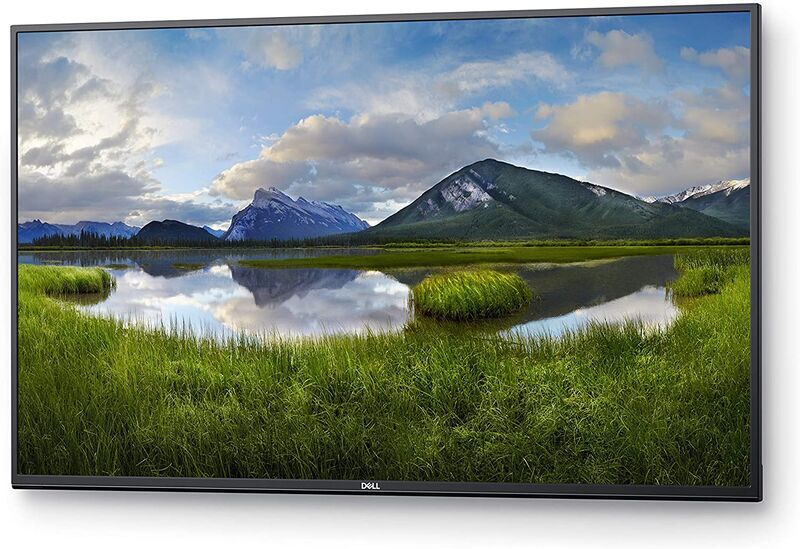 Dell C5519Q | 55" | schwarz 2