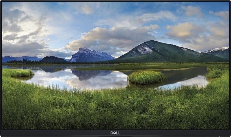 Dell P2319H | 23" | without stand | black 1