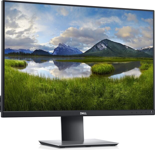 Dell P2421 | 24.1" | avec socle | noir/argent 3