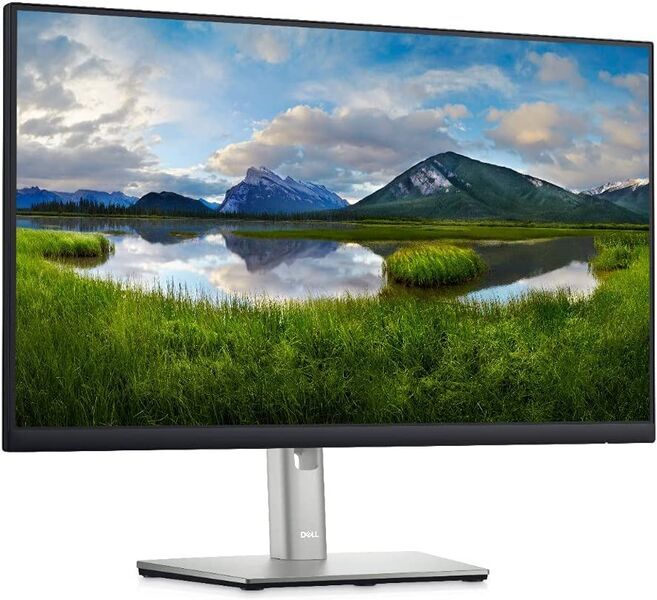 Dell P2422HE | 23.8" | inkl. Standfuß | schwarz/grau 3