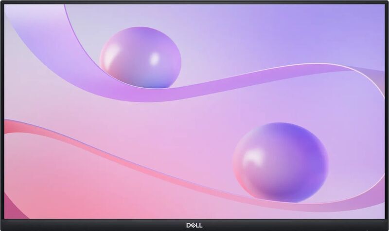 Dell P2424HT | 23.8" | be stovo | sidabrinė/juoda 1