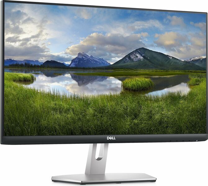 Dell S2421HN | 23.8" | inkl. Standfuß | schwarz/grau 1