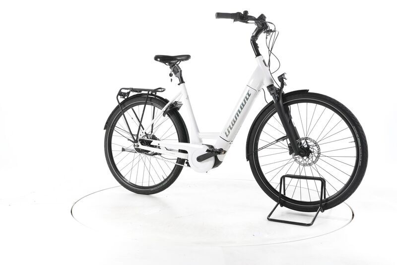 Diamant Beryll Deluxe+ RT 2022 | Weiß | 28" | L | 500 - 3000 km, image 1 of 4