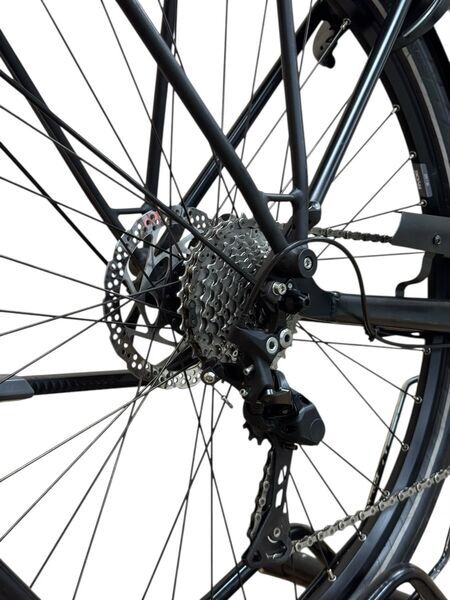 Diamant Mandara Deluxe+ 2022 | black | 28" | XL | 500 - 3000 km 4