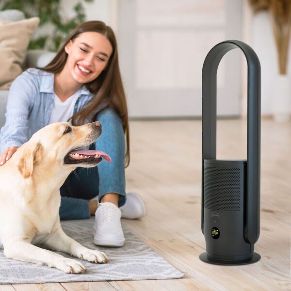 djive Flowmate ARC Casual 2in1 Ventilator und Luftreiniger | Metallic Grey 5