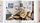 domus 1950–1959 | Weiß, thumbnail 2 of 4