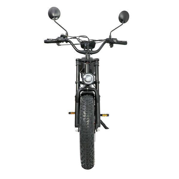 DUOTTS F20 2026 | Schwarz | 20" | S | < 500 km, image 3 of 4