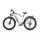 DUOTTS F26 Lite 2026 | Silber | 26" | M | < 500 km, thumbnail 3 of 4