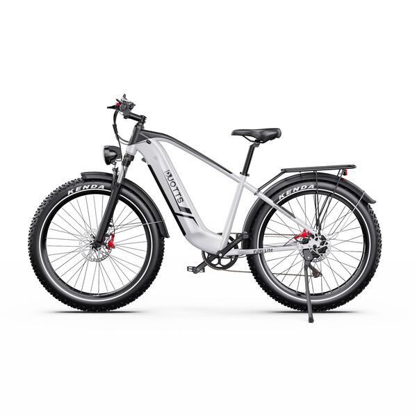 DUOTTS F26 Lite 2026 | Silber | 26" | M | < 500 km, image 3 of 4