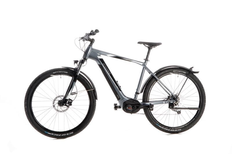 Dynamics E-Lighting 5 (2020) | Diamant | grau | 54 cm | 500 - 1000 km 4