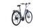 Dynamics Evo Nine 5 (2020) | Lage instap | grijs | 28" | 50 cm | 1500 - 2000 km thumbnail 2/5