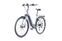 Dynamics Evo Nine 5 (2020) | Lage instap | grijs | 28" | 50 cm | 1500 - 2000 km thumbnail 5/5