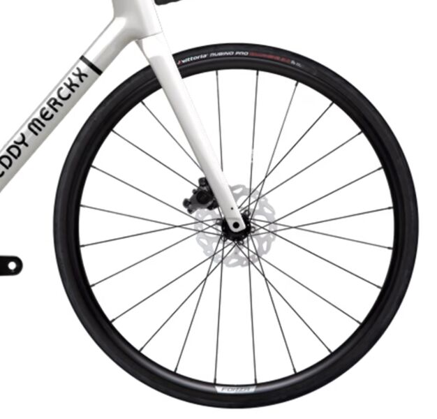 Eddy Merckx Mendrisio (2025) | diamant | bel | XL | 58 cm 3