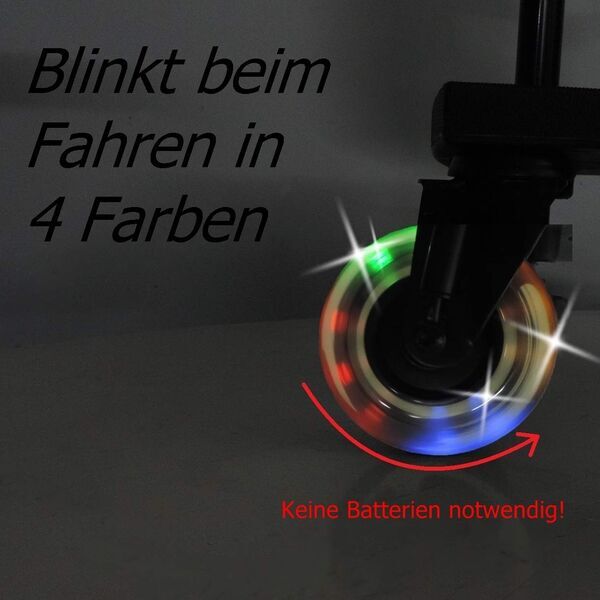 Eichhorn Cozy C-Rider Geschwisterboard | musta 2